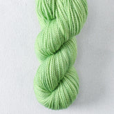A Play on Green Jays 3 - Miss Babs Yummy 2-Ply Toes superwash Merino wool yarn