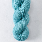 A Play on Green Jays 5 - Miss Babs Yummy 2-Ply Toes superwash Merino wool yarn