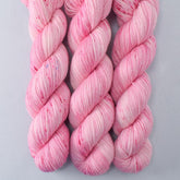 Princess Party - Miss Babs Tarte wool blend sock yarn