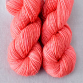 Quince Blossom - Miss Babs Yummy 2-Ply Toes superwash Merino wool yarn