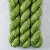Rachis - Miss Babs Yummy 2-Ply superwash Merino wool yarn