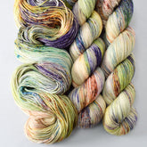 Reedy River - Miss Babs Tarte wool blend sock yarn