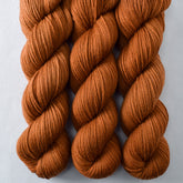 Roasted Pumpkin - Miss Babs Intrepid yarn