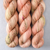 Rosy Finch - Miss Babs Putnam Merino wool and nylon sock yarn