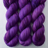 Royal Family - Miss Babs Intrepid yarn