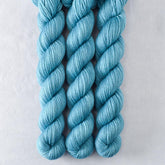 Sadalmelik - Miss Babs Yowza Mini superwash Merino wool yarn