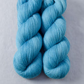 Salish - Miss Babs Yearning yarn
