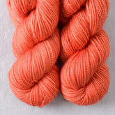 Santa Barbara - Miss Babs Yummy 2-Ply Toes superwash Merino wool yarn