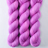 Shaula - Miss Babs Yummy 2-Ply superwash Merino wool yarn