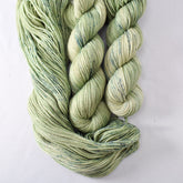 Silver Palm - Miss Babs Intrepid yarn