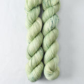 Silver Palm - Miss Babs Yowza Mini superwash Merino wool yarn