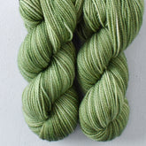 Snail - Miss Babs Yummy 2-Ply Toes superwash Merino wool yarn