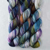 Soundscape - Miss Babs Putnam Merino wool and nylon sock yarn