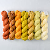 Special Edition 1015 - Miss Babs Yummy 2-Ply Fade Set