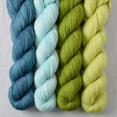 Special Edition 286 - Miss Babs Yummy 2-Ply Quartet