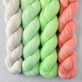 Special Edition 356 - Miss Babs Yummy 2-Ply Quartet