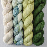 Special Edition 380 - Miss Babs Yummy 2-Ply Quartet