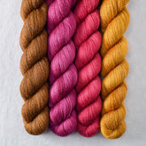 Special Edition 4 - Miss Babs Yet Quartet