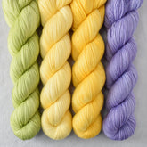 Special Edition 480 - Miss Babs Yummy 2-Ply Quartet