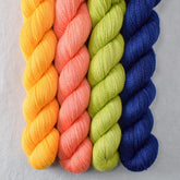 Special Edition 5 - Miss Babs Yet Quartet