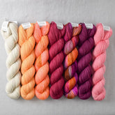 Special Edition 660 - Miss Babs Yummy 2-Ply Fade Set