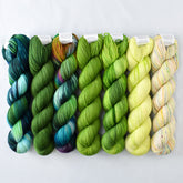 Special Edition 957 - Miss Babs Yummy 2-Ply Fade Set