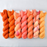 Special Edition 979 - Miss Babs Yummy 2-Ply Fade Set