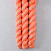 Spicy Papaya - Miss Babs Sojourn cashmere and silk yarn