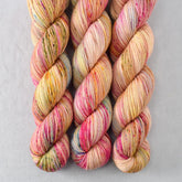 Spring Flowers - Miss Babs Putnam Merino wool and nylon sock yarn