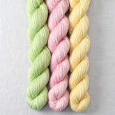Spring Green, Sugar, Wheaten - Miss Babs Yowza Mini Trio