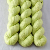 Spring Lettuce - Miss Babs Katahdin 437 superwash BFL wool yarn