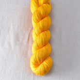 Squash Blossom 700 Yd - Miss Babs Katahdin yarn