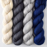 Stormy - Miss Babs Yummy 2-Ply Quartet