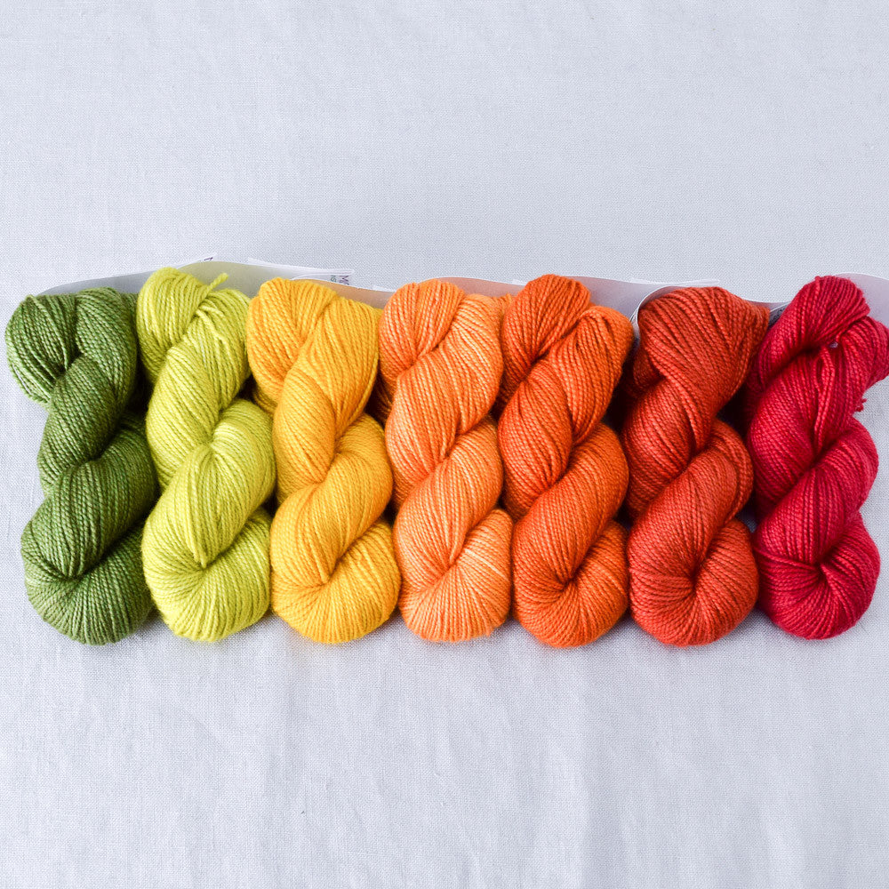 Sugar Maple - Gradient Set