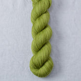 Sugar Maple 7 - Miss Babs Yummy 2-Ply superwash Merino wool yarn