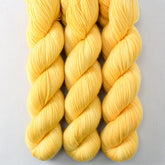 Sunbird - Miss Babs Yummy 2-Ply superwash Merino wool yarn