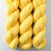 Sunny - Miss Babs Intrepid yarn