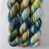 Surprise - Miss Babs Putnam Merino wool and nylon sock yarn