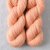 Sweet Briar - Miss Babs Yummy 2-Ply Toes superwash Merino wool yarn