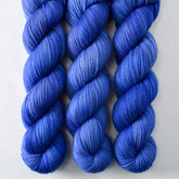 RE PHOTOGRAPH Taffeta - Miss Babs Yummy 2-Ply superwash Merino wool yarn