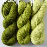 Teardrop, Shamrock, Iantha - Miss Babs Toe Trio