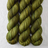 Terrapin Station Partial Skeins - Miss Babs K2 yarn