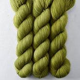 Thyme - Miss Babs Yummy 2-Ply superwash Merino wool yarn