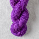 Tilt a Whirl - Miss Babs Yummy 2-Ply Toes superwash Merino wool yarn