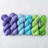 Tropical Plumage - Caroline Gradient Set