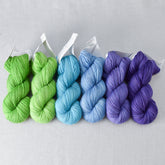 Tropical Plumage - Gradient Set