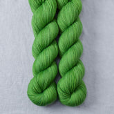 Two Days Slow - Miss Babs Yummy 2-Ply superwash Merino wool yarn