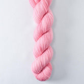 Valentina - Miss Babs Yummy 2-Ply superwash Merino wool yarn