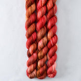 Wanna Go Crazy - Miss Babs Sojourn cashmere and silk yarn