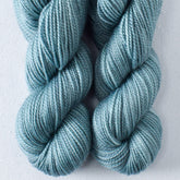 Watery Tart - Miss Babs Yummy 2-Ply Toes superwash Merino wool yarn